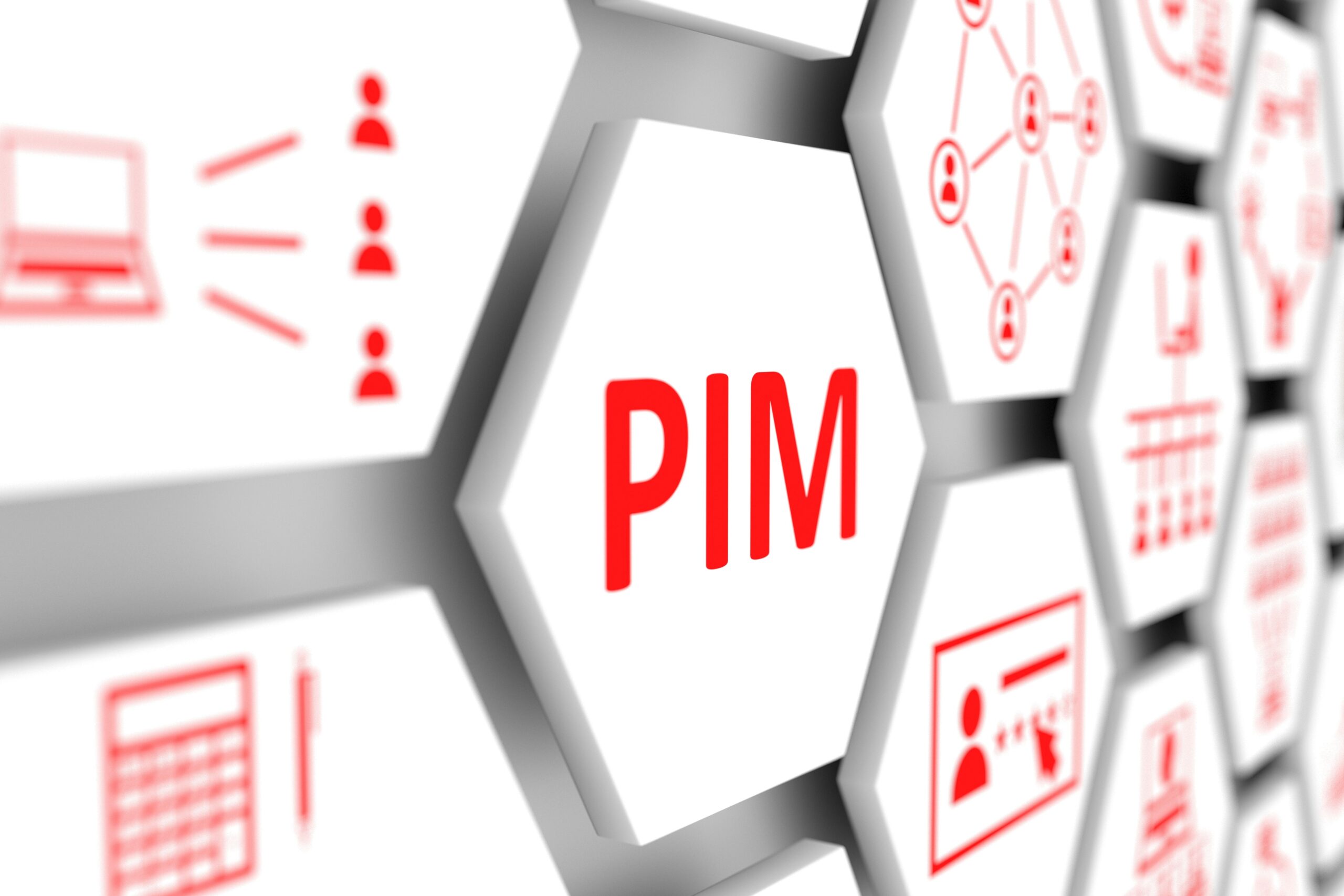 PIM System