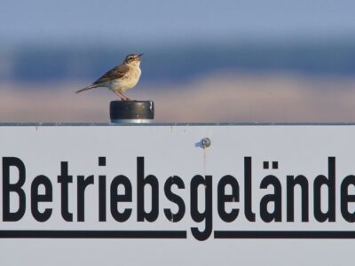 Wie man das Firmengelände strukturell und technisch optimiert